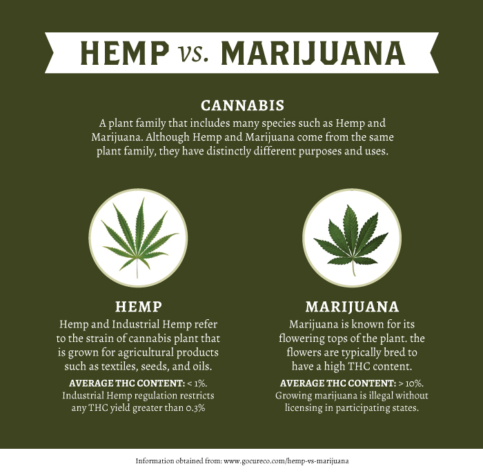 Hemp-vs-Marijuana2.jpg