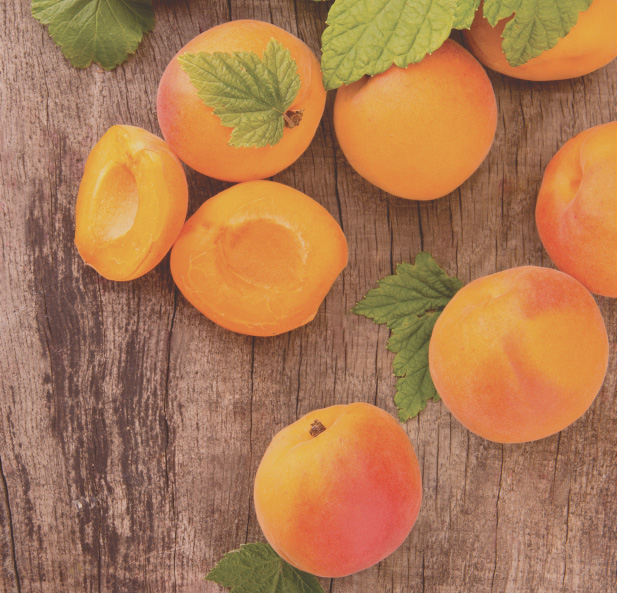 CBD Daily | Apricot Oil