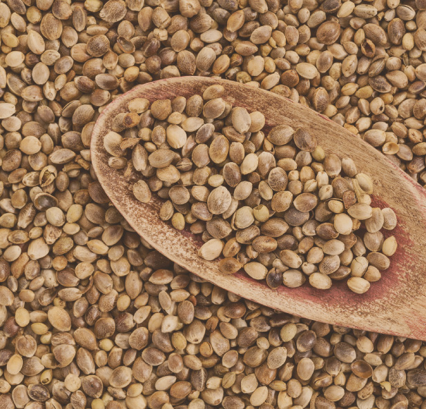 CBD Daily | Natural Hemp CBD