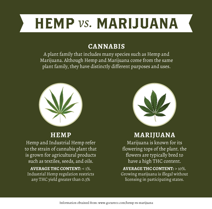 Hemp Seed - Undoubtedly One Of Nature's Perfect Foods