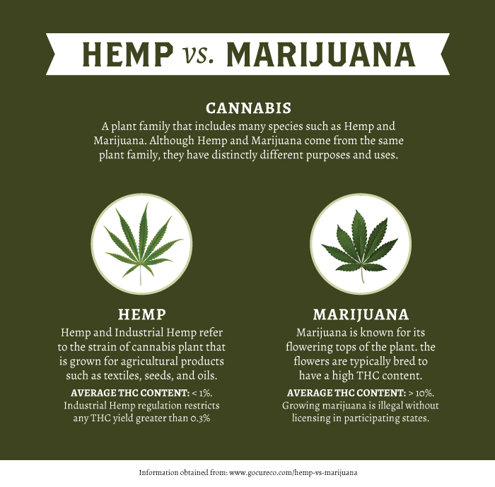 Www Where To Get Cbd Oil - Cbd|Oil|Cannabidiol|Products|View|Abstract|Effects|Hemp|Cannabis|Product|Thc|Pain|People|Health|Body|Plant|Cannabinoids|Medications|Oils|Drug|Benefits|System|Study|Marijuana|Anxiety|Side|Research|Effect|Liver|Quality|Treatment|Studies|Epilepsy|Symptoms|Gummies|Compounds|Dose|Time|Inflammation|Bottle|Cbd Oil|View Abstract|Side Effects|Cbd Products|Endocannabinoid System|Multiple Sclerosis|Cbd Oils|Cbd Gummies|Cannabis Plant|Hemp Oil|Cbd Product|Hemp Plant|United States|Cytochrome P450|Many People|Chronic Pain|Nuleaf Naturals|Royal Cbd|Full-Spectrum Cbd Oil|Drug Administration|Cbd Oil Products|Medical Marijuana|Drug Test|Heavy Metals|Clinical Trial|Clinical Trials|Cbd Oil Side|Rating Highlights|Wide Variety|Animal Studies